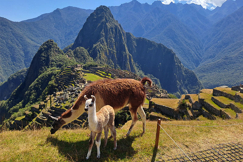 Best tours and treks to Machu Picchu